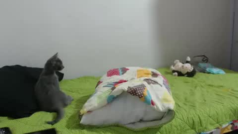 Hot and PowerHOPE U MISS ME online show from January 14, 2025, 6:45 am