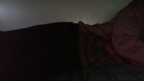 Bitch for abuse online show from April 16, 2026, 6:41 pm