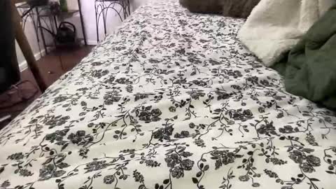 Snapshot of hotmama6666 chatting on February 4, 2026, 12:05 am Annabelle online show from February 4, 2026, 12:05 am