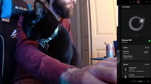 Snapshot of hotpumpkinpies chatting on April 5, 2026, 2:31 am hotpumpkinpies online show from April 5, 2026, 2:31 am