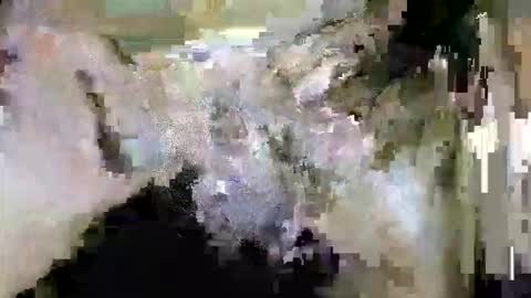 HotShavedCockSoCal online show from February 25, 2026, 7:07 am