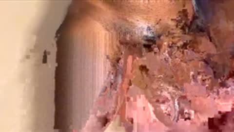 Snapshot of houseesposo chatting on November 24, 2025, 9:36 pm houseesposo online show from November 24, 2025, 9:36 pm