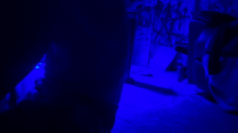 Snapshot of howbowdadareboy33 chatting on April 21, 2026, 1:42 am ask me online show from April 21, 2026, 1:42 am