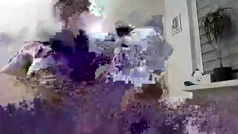 Snapshot of hugo_hug chatting on March 4, 2026, 6:58 pm David online show from March 4, 2026, 6:58 pm