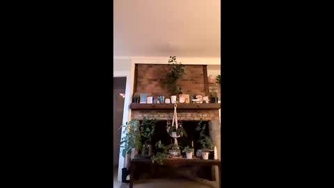 hungitalian40 online show from January 15, 2026, 1:26 pm