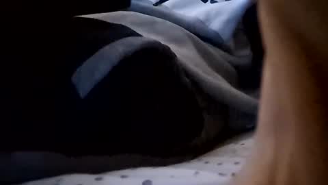 Snapshot of hungukguy777 chatting on November 24, 2025, 12:21 am hungukguy777 online show from November 24, 2025, 12:21 am