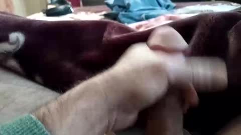 Snapshot of husky1511 chatting on November 11, 2025, 9:20 am husky1511 online show from November 11, 2025, 9:20 am