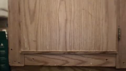 Snapshot of hybrid_lover419 chatting on February 13, 2026, 5:36 am Hybrid Lover419 online show from February 13, 2026, 5:36 am