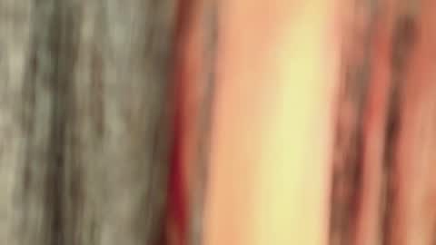 Isa online show from January 11, 2026, 4:50 am