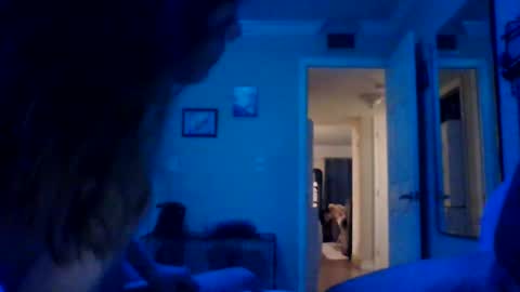 Goat  Lulu  Elektra online show from February 14, 2025, 8:10 am