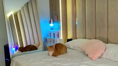 Nyxy online show from November 11, 2025, 9:09 am