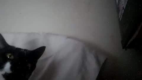 iamryan995442 online show from April 7, 2026, 5:35 pm