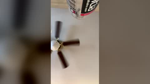 Snapshot of idkk_97 chatting on March 29, 2026, 8:09 pm idkk_97 online show from March 29, 2026, 8:09 pm