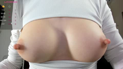 illegal_lorry online show from January 12, 2025, 5:24 am