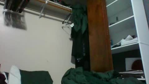 Snapshot of illlypad_lilac chatting on May 17, 2026, 3:59 am Lilly online show from May 17, 2026, 3:59 am