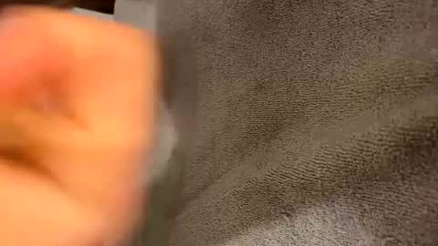 Snapshot of iltjoal69 chatting on March 5, 2025, 10:33 am iltjoal69 online show from March 5, 2025, 10:33 am