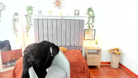 im_tulipan online show from February 25, 2026, 7:56 pm