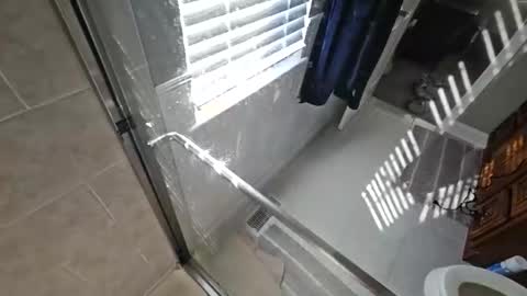 Snapshot of imaguy_ chatting on December 22, 2024, 3:55 pm imaguy_ online show from December 22, 2024, 3:55 pm