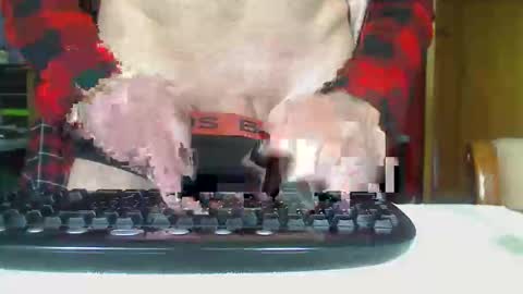 Snapshot of imaussiechris chatting on October 21, 2025, 12:33 am Aussie Guy online show from October 21, 2025, 12:33 am