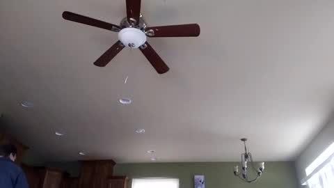 Snapshot of iminyourroom chatting on January 31, 2025, 8:22 pm Iminyourroom online show from January 31, 2025, 8:22 pm