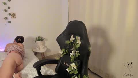 Aurora online show from November 17, 2025, 1:11 am