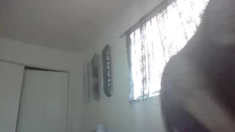 imyourbabydoll online show from February 26, 2026, 9:47 pm