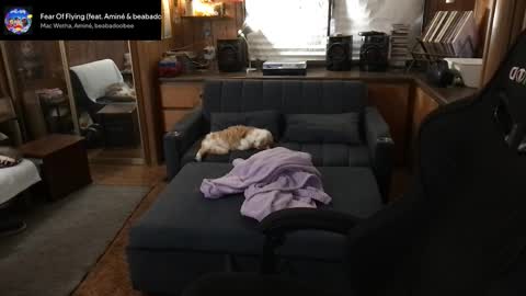 Carter online show from March 11, 2026, 5:35 am