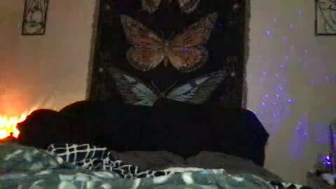 Indigo Bay online show from January 10, 2025, 12:17 am