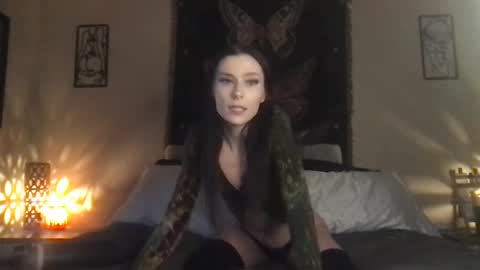 Indigo Bay online show from February 8, 2025, 12:06 am