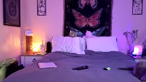 Indigo Bay online show from April 26, 2026, 11:46 pm