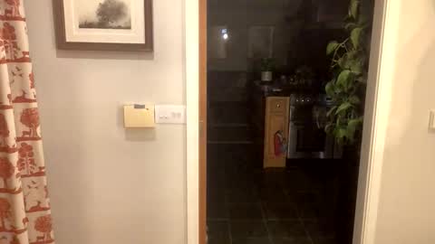 Snapshot of inkpiggy chatting on February 20, 2026, 12:51 am inkpiggy online show from February 20, 2026, 12:51 am