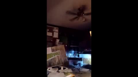 inmecum online show from March 20, 2026, 12:59 am