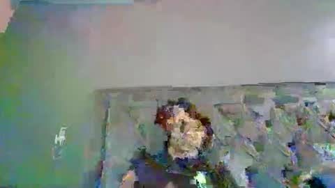 WillyTripleXxx online show from October 6, 2025, 3:48 am