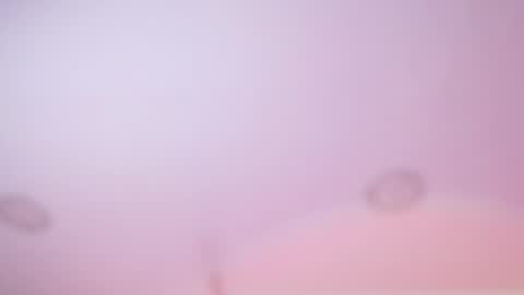 Iirs online show from February 18, 2026, 3:02 am