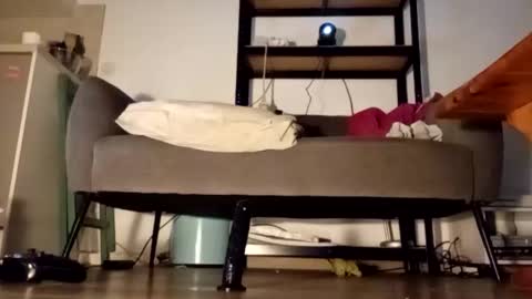 iron_cock40 online show from April 24, 2026, 10:01 pm