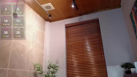 Iron Tous online show from January 15, 2026, 8:12 pm