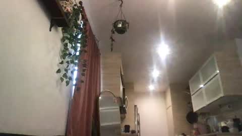 Snapshot of isabellaelizabeth chatting on January 31, 2026, 8:51 pm isabellaelizabeth online show from January 31, 2026, 8:51 pm