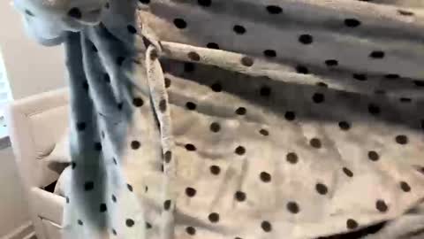 isabellenoela online show from January 12, 2025, 4:18 pm