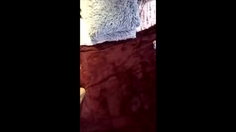 Snapshot of isaldatrans chatting on April 16, 2026, 9:32 am Ral online show from April 16, 2026, 9:32 am