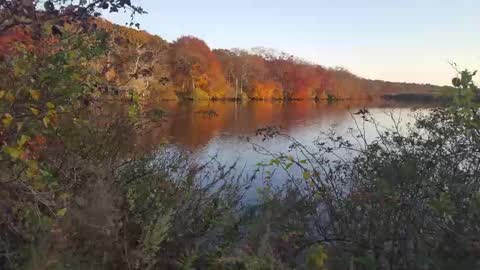 Jim online show from February 23, 2025, 7:33 am