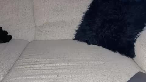 Snapshot of isocialmedia chatting on February 25, 2026, 12:15 pm isocialmedia online show from February 25, 2026, 12:15 pm