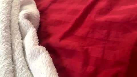 Snapshot of itsjayyourbae chatting on November 22, 2025, 2:05 pm itsjayyourbae online show from November 22, 2025, 2:05 pm