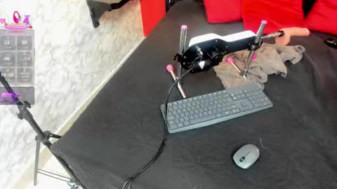 Ivis  online show from December 19, 2025, 12:34 pm