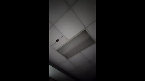 Snapshot of j3usix chatting on January 14, 2026, 11:49 am wonderbread online show from January 14, 2026, 11:49 am