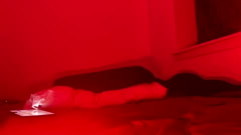 j4ckoff online show from November 22, 2025, 5:50 am