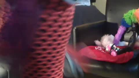 Snapshot of jacekwrrr chatting on December 28, 2024, 10:58 am JACKSLUT BUY ME . FAN CLUB MEMBERS AND THOSE WHOM THE MEMBERS INDICATE SISY SLUT PROVIDES THEM FREE SERVICES online show from December 28, 2024, 10:58 am