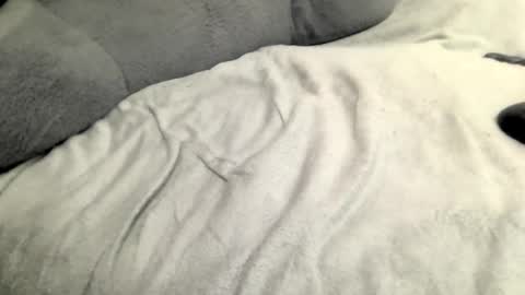 jack online show from February 23, 2025, 5:45 am