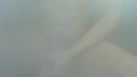 James2377  online show from December 22, 2025, 2:25 pm