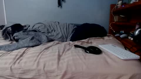 what you in too online show from February 16, 2026, 1:29 pm