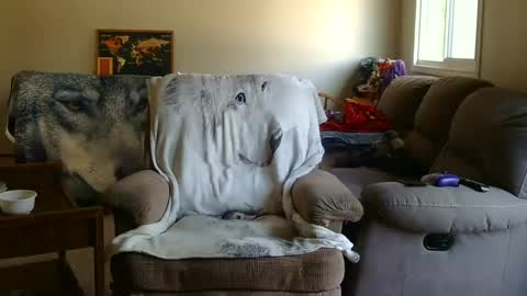 Snapshot of jameswolf777 chatting on September 9, 2025, 5:34 pm jameswolf777 online show from September 9, 2025, 5:34 pm
